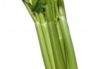 Huile essencielle de celeri